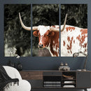 Texas Longhorn Wall Art Canvas Print – Framed Spotted Bull