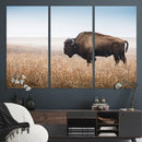 Wild Bison Wall Art – Framed Prairie Landscape Canvas by MyGreatCanvas | Canvas Wall Art Prints | Photo Prints & Wall Decor