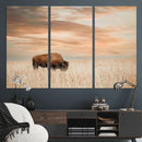 MyCanvas -