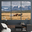 Grand Teton Park Wild Horses Wall Art Canvas Print – Framed