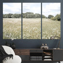 Charming Daisy Field Wall Art Canvas Print – Framed Pastel