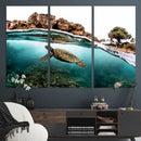 Sea Turtle Wall Art Canvas Print – Framed Ocean Life