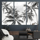 Black and White Palm Wall Art Canvas Print – Framed