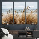 Beach Grass Wall Art Canvas Print – Framed Coastal Dunes Art by MyGreatCanvas | Canvas Wall Art Prints | Photo Prints & Wall Decor