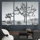 Joshua Tree Wall Art Canvas Print – Framed Black White