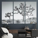 Joshua Trees Wall Art Canvas Print – Framed Black White