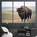 Bison Wall Art Canvas Print – Framed Buffalo American Bison