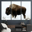 Bison Wall Art Canvas Print – Framed Western Wildlife