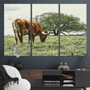 Texas Longhorn Wall Art Canvas Print – Rustic Western Ranch by MyGreatCanvas | Canvas Wall Art Prints | Photo Prints & Wall Decor