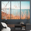 Coastal Grass Landscape Wall Art Canvas Print – Golden