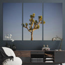 Joshua Tree Wall Art Canvas Print – Framed Southwestern