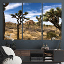 Joshua Tree Desert Wall Art Canvas Print – Framed