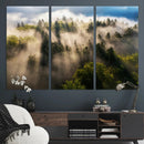 Tranquil Forest Scene Wall Art Canvas Print – Framed Moody