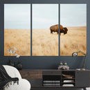 Buffalo Wall Art Canvas Print – Framed Western Wildlife