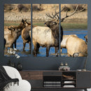 Wild Elk Wall Art Canvas Print – Framed Neutral Wildlife