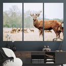 Rustic Deer Wall Art Canvas Print – Forest Woodland Stag