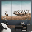 Elk Herd Wall Art Canvas Print – Framed Wildlife Photography