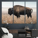 American Bison Wall Art Canvas Print – Majestic Buffalo
