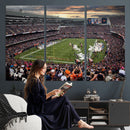Chicago Bears Soldiers Field Wall Art Canvas Print – Framed