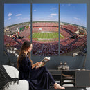 William Brice Stadium Wall Art Canvas Print – Stadium Crowd