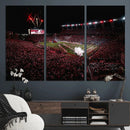William Brice Stadium Wall Art Print – Baseball Game Room by MyGreatCanvas | Canvas Wall Art Prints | Photo Prints & Wall Decor