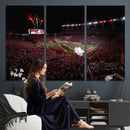 William Brice Stadium Wall Art Print – Baseball Game Room