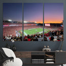 Dooley Stadium Wall Art, Sports Arena Canvas Print, Dooley