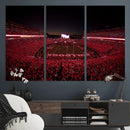 Dooley Stadium Wall Art, Sports Arena Canvas Print, Dooley by MyGreatCanvas | Canvas Wall Art Prints | Photo Prints & Wall Decor