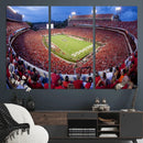 Dooley Stadium Wall Art, Sports Arena Canvas Print, Dooley by MyGreatCanvas | Canvas Wall Art Prints | Photo Prints & Wall Decor