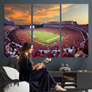 Dooley Stadium Wall Art, Sports Arena Canvas Print, Dooley