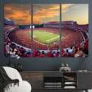 Dooley Stadium Wall Art, Sports Arena Canvas Print, Dooley by MyGreatCanvas | Canvas Wall Art Prints | Photo Prints & Wall Decor