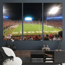 Dooley Stadium Wall Art, Sports Arena Panoramic Canvas by MyGreatCanvas | Canvas Wall Art Prints | Photo Prints & Wall Decor