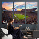 Jordan-Hare Stadium Wall Art Canvas Print, Football Stadium