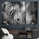 Wild Old Elephant Wall Art Canvas Print