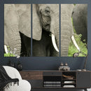 Wild Elephant Wall Art Canvas Print by MyGreatCanvas | Canvas Wall Art Prints | Photo Prints & Wall Decor