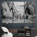 Wild Elephant Wall Art Canvas Print by MyGreatCanvas | Canvas Wall Art Prints | Photo Prints & Wall Decor