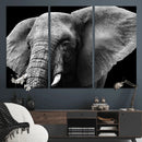 Big Elephant Close Up Wall Art Canvas Print