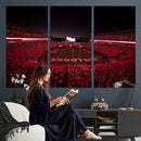 Sanford Stadium Wall Art Canvas Print – Georgia Bulldogs
