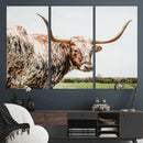 Texas Catle Longhorn Wall Art Canvas Print for Farmhouse by MyGreatCanvas | Canvas Wall Art Prints | Photo Prints & Wall Decor