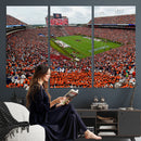 Auburn Stadium Wall Art Canvas Print, Jordan Hare Stadium