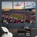 Donald W. Reynolds Razorback Stadium Wall Art Canvas Print – by MyGreatCanvas | Canvas Wall Art Prints | Photo Prints & Wall Decor
