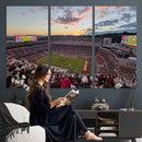 Donald W. Reynolds Razorback Stadium Wall Art Canvas Print –