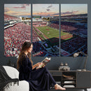 Donald W. Reynolds Razorback Stadium Wall Art Canvas Print –