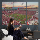 Donald W. Reynolds Razorback Stadium Wall Art Canvas Print –