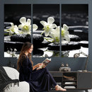 Plumeria Frangipani Black Stone Canvas | White Flower Spa by MyGreatCanvas | Canvas Wall Art Prints | Photo Prints & Wall Decor
