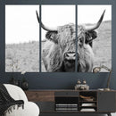 Newfoundland Cow Art Wall Art, Black White Cow Art Wall Art