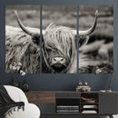 Cow Focus Canvas Wall Art Print by MyGreatCanvas | Canvas Wall Art Prints | Photo Prints & Wall Decor