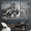 King Forest Lion Wall Art Canvas Print – Framed Majestic by MyGreatCanvas | Canvas Wall Art Prints | Photo Prints & Wall Decor
