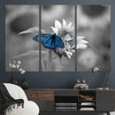 Blue Butterfly Black and White Canvas Wall Art by MyGreatCanvas | Canvas Wall Art Prints | Photo Prints & Wall Decor