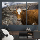 Texas Longhorn Canvas Wall Art - Longhorn Steer Canvas Wall by MyGreatCanvas | Canvas Wall Art Prints | Photo Prints & Wall Decor